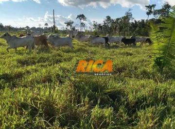 Imagem 2 · Fazenda para venda em Candeias do Jamari