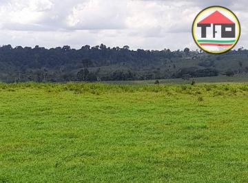 Imagem 1 · Fazenda para venda em Itupiranga