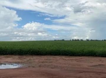 Imagem 1 · Fazenda para venda em Centro, Guaraci