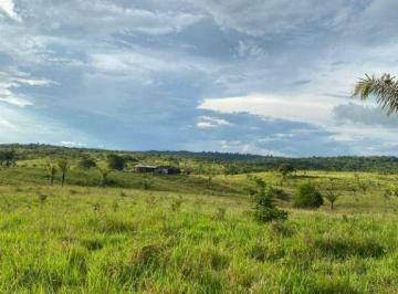 Imagem 1 · Fazenda para venda em Centro, Goianésia do Pará