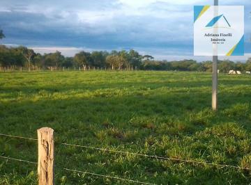 Imagem 1 · Fazenda para venda em Januária