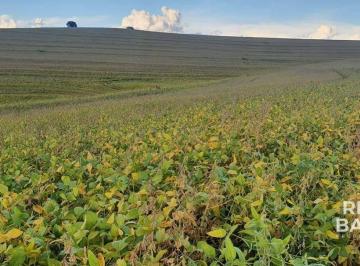 Imagem 1 · Fazenda para venda em Centro, Londrina