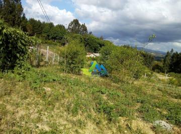 Imagem 1 · Chácara para venda em Mandirituba