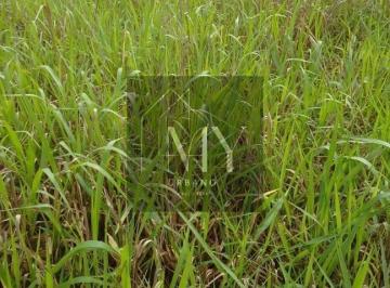 Imagem 1 · Terreno para venda em Centro, Guiratinga