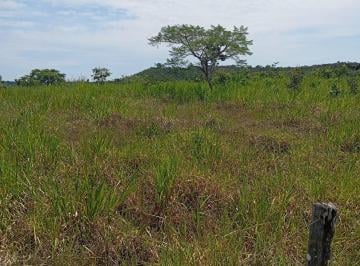 Imagem 1 · Fazenda para venda em Centro, Alto Garças