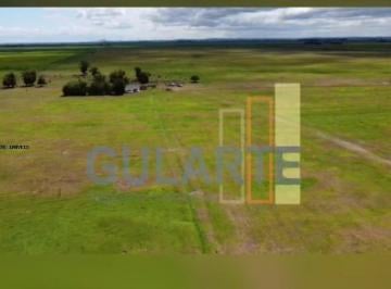 Imagem 1 · Fazenda para venda em Centro, Águas Claras