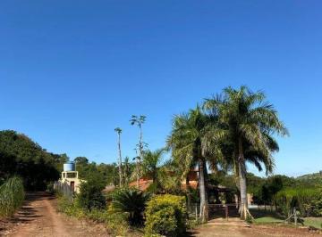 Imagem 1 · Chácara para venda em Ibiporã