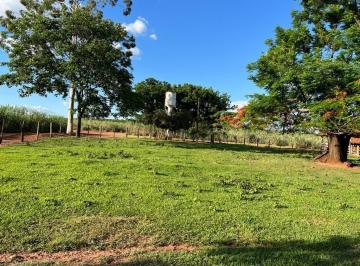Imagem 1 · Fazenda para venda em Centro, Bady Bassitt