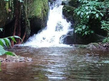 Imagem 1 · Fazenda para venda em Centro, Monteiro Lobato