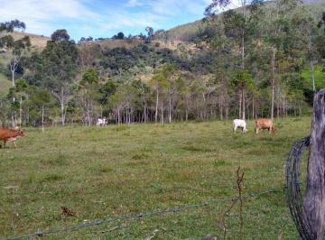 Imagem 1 · Sítio para venda em Centro, Monteiro Lobato