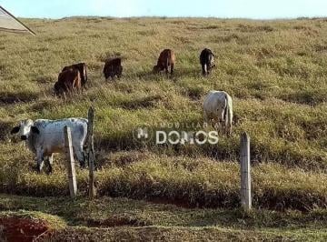 Imagem 5 · Sítio para venda em Guaratinguetá