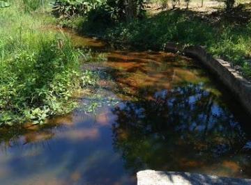 Imagem 1 · Chácara para venda em Monteiro Lobato