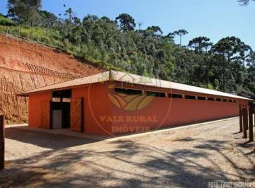 Imagem 1 · Sítio para venda em Centro, Sapucaí-Mirim