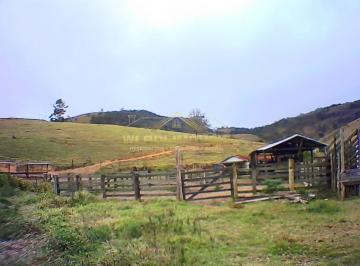 Imagem 1 · Fazenda para venda em Centro, Paraibuna