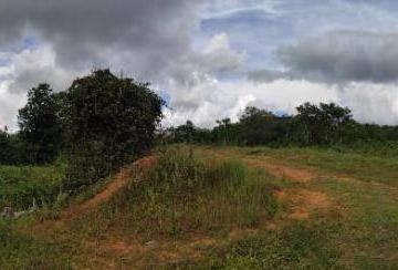Imagem 1 · Fazenda para venda em Centro, Alto Araguaia