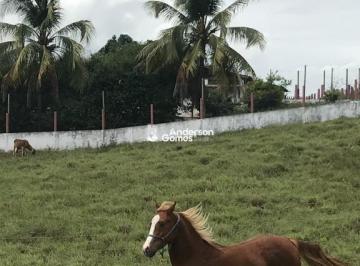 Imagem 1 · Chácara para venda em Centro, São José de Mipibu