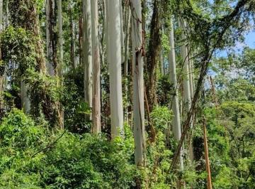 Imagem 1 · Fazenda para venda em Centro, Piracaia