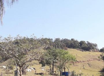 Imagem 1 · Sítio para venda em Jardim das Aves, Amparo