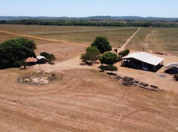 Imagem 1 · Fazenda para venda em Centro, Estreito