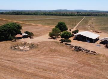 Imagem 1 · Fazenda para venda em Centro, Estreito