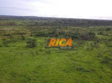 Imagem 2 · Fazenda para venda em Manicoré