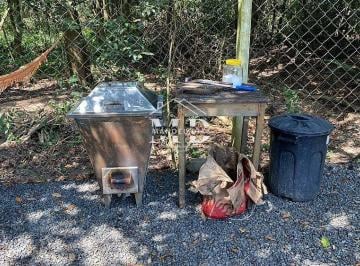Imagem 1 · Chácara para venda em Área Rural de Artur Nogueira, Artur No