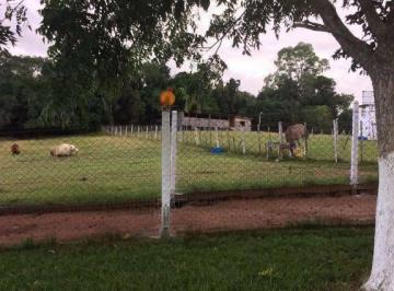 Imagem 1 · Sítio para venda em Espigão, Viamão