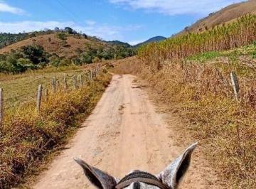 Imagem 1 · Fazenda para venda em Centro, Silveiras