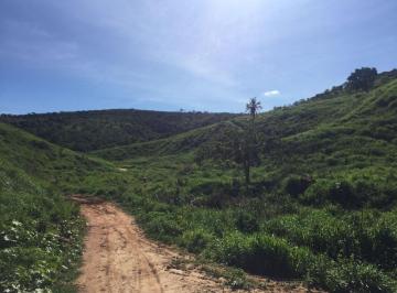 Imagem 1 · Fazenda para venda em Área Rural de Colatina, Colatina