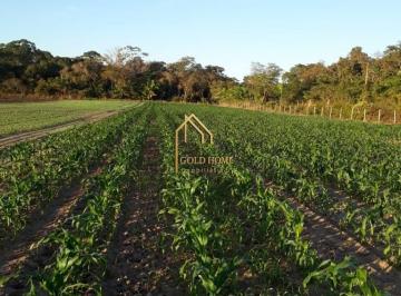 Imagem 1 · Sítio para venda em Área Rural de Cuiabá, Cuiabá