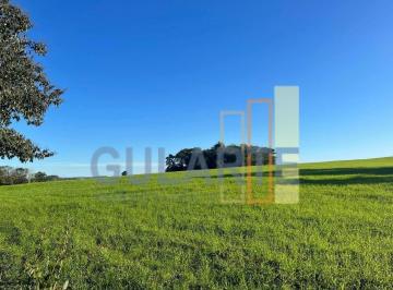 Imagem 1 · Fazenda para venda em Centro, Encruzilhada do Sul