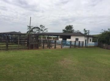 Imagem 1 · Fazenda para venda em Centro, Cruzeiro