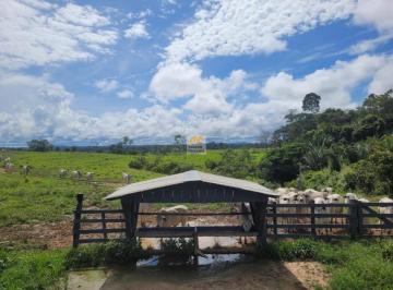 Imagem 1 · Sítio para venda em Área Rural de Ji-Paraná, Ji-Paraná