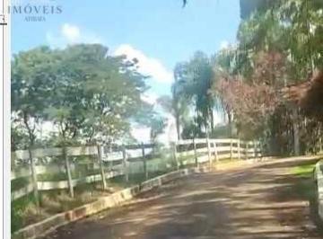 Imagem 1 · Sítio para venda em Estância Santa Maria do Laranjal, Atibai