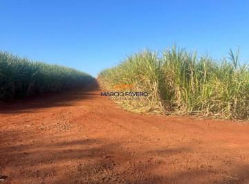 Imagem 1 · Fazenda para venda em Jaú