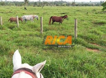 Imagem 1 · Fazenda para venda em Porto Velho