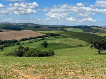 Imagem 1 · Fazenda para venda em Ipeúna