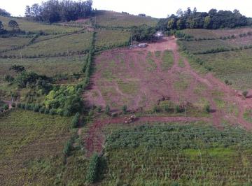 Imagem 1 · Sítio para venda em Centro, Monte Belo do Sul