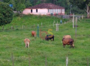Imagem 1 · Fazenda para venda em Centro, Itajuípe