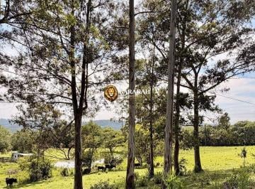 Imagem 1 · Chácara para venda em Kayser, Caxias do Sul