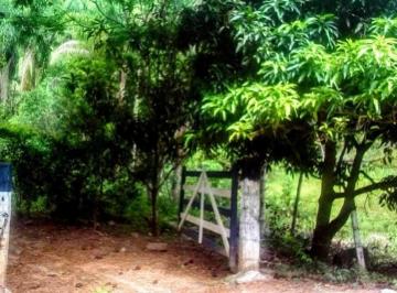 Imagem 1 · Sítio para venda em Torreões, Juiz de Fora