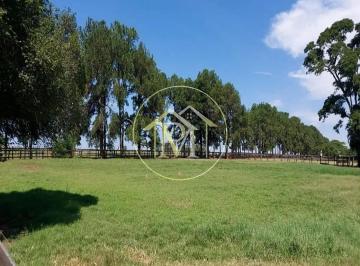 Imagem 1 · Fazenda para venda em Centro, Porto Feliz