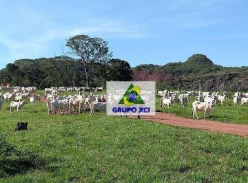 Imagem 1 · Fazenda para venda em Centro, Pedra Preta