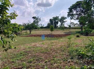 Imagem 1 · Sítio para venda em Limoeiro, Londrina