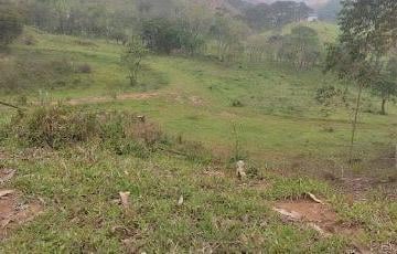 Imagem 1 · Sítio para venda em Centro, Paraibuna