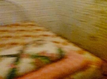 Imagem 1 · Chácara para venda em Viamão