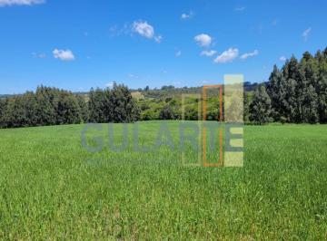 Imagem 1 · Fazenda para venda em Centro, Encruzilhada do Sul
