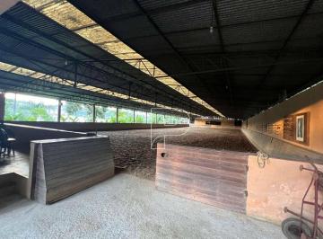Imagem 1 · Sítio para venda em Chácara Represinha, Cotia