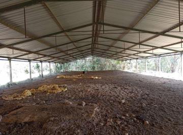 Imagem 1 · Fazenda para venda em Coronel Xavier Chaves