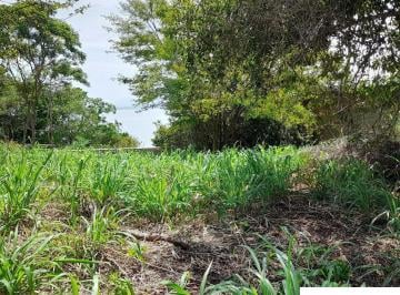 Imagem 1 · Terreno para venda em Araçatiba, Maricá